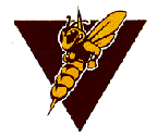 superior yellowjacket logo