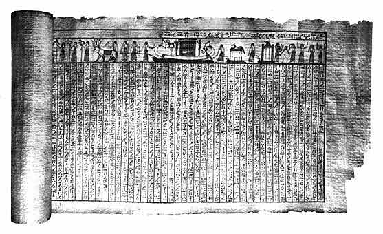 Papyrus scroll.